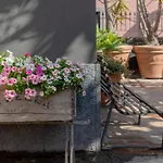 בית נופש Rose Acireale סנטה טקלה
